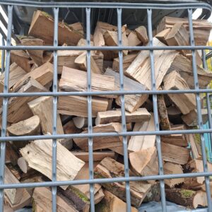 Brennholz Buche frisch